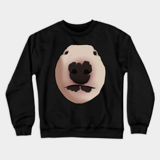 Walter Crewneck Sweatshirt